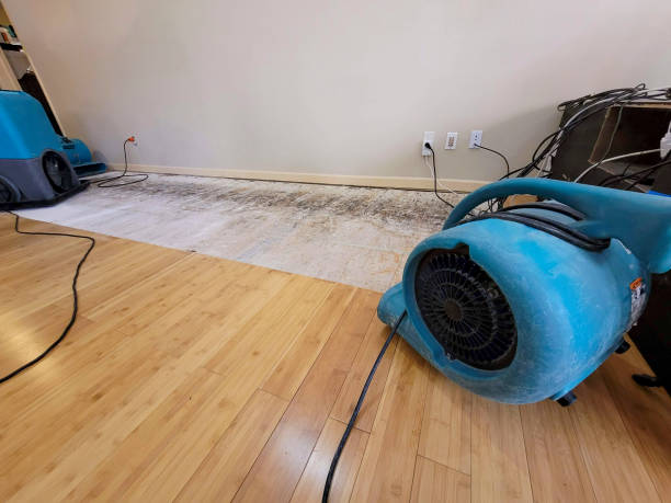 Professional Water Damage Repair technician working in Wellford, SC